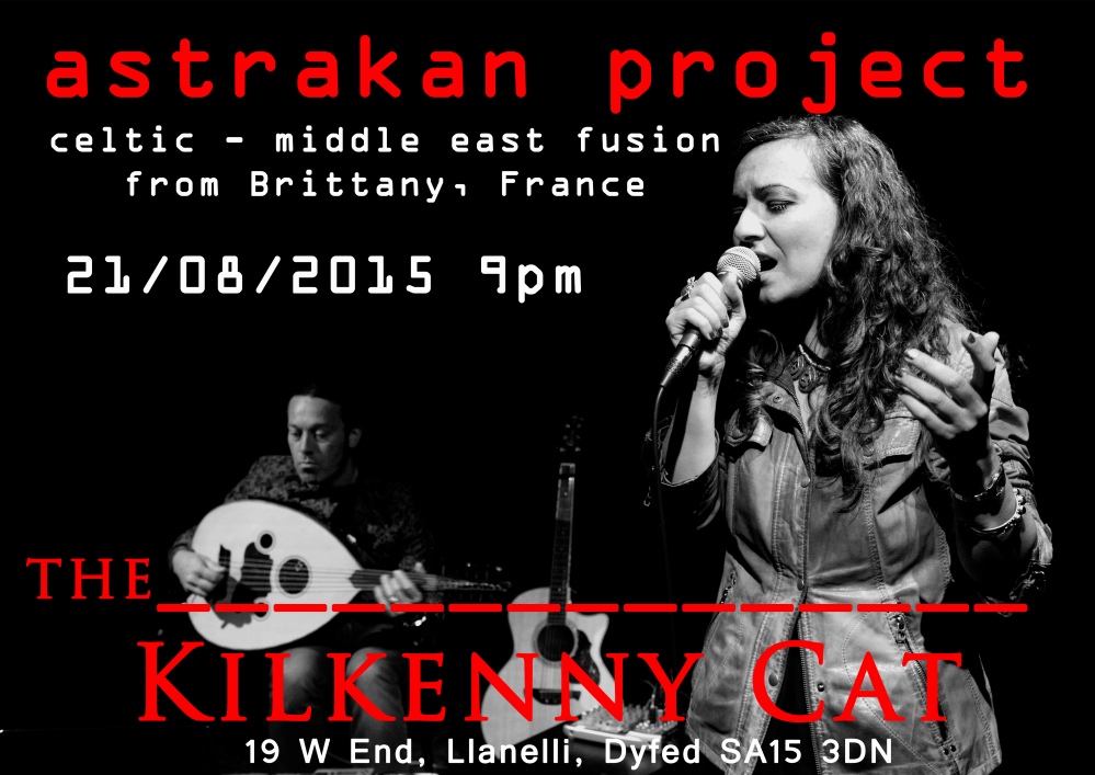 llanelli wales gig poster - the kilkenny cat - astrakan project 