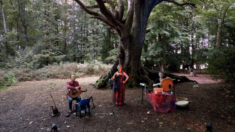 Where will next Wild Live Songs happen? Where will next Wild Live Songs happen?